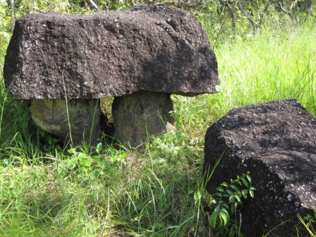 ???????????????????????????????