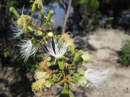 ???????????????????????????????