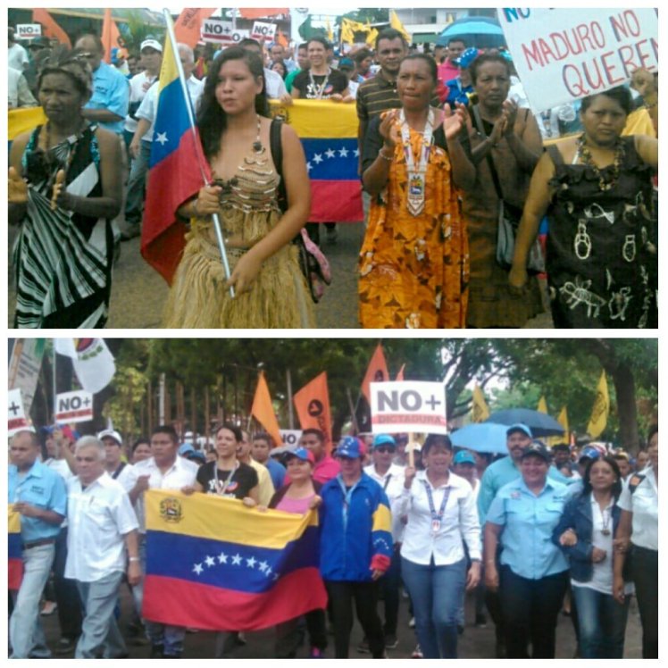 amazonas marimagallanesC