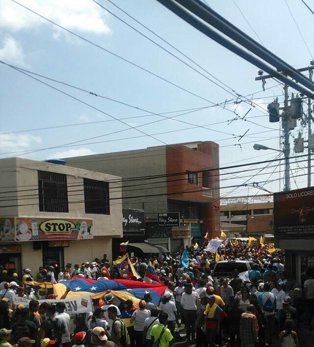 punto fijo vente falcon